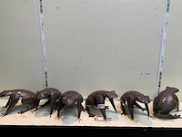 Decoratie - afbeelding 1 van  3