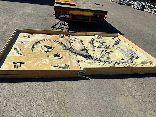 Decoratief dinosaurus fossiel - afbeelding 1 van  5