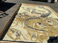 Decoratief dinosaurus fossiel - afbeelding 4 van  5