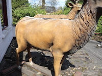 Decoratief hert - afbeelding 3 van  9