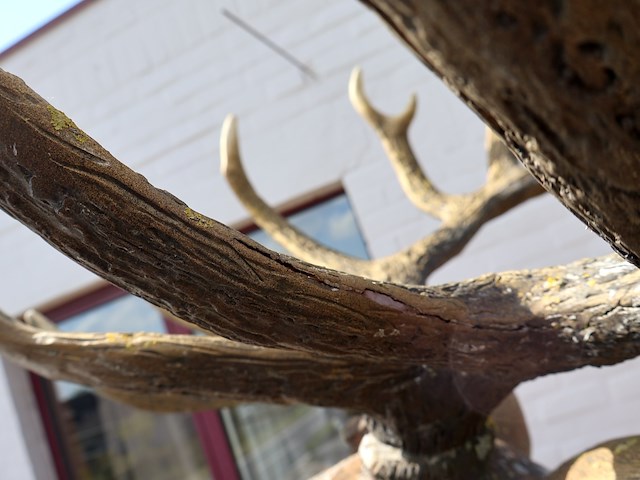 Decoratief hert - afbeelding 7 van  9