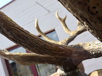 Decoratief hert - afbeelding 7 van  9