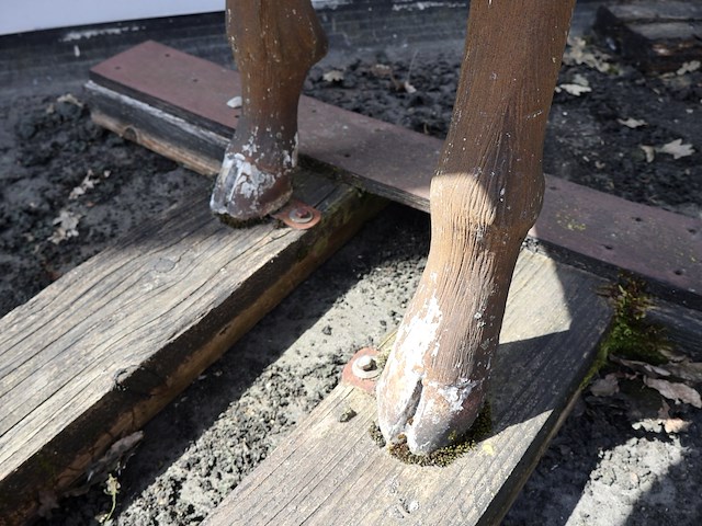 Decoratief hert - afbeelding 9 van  9