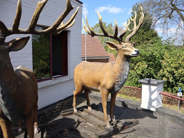 Decoratief hert - afbeelding 1 van  11