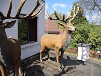 Decoratief hert - afbeelding 1 van  11