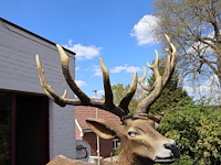 Decoratief hert - afbeelding 5 van  11