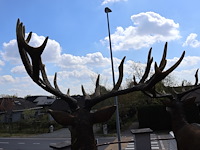 Decoratief hert - afbeelding 8 van  11