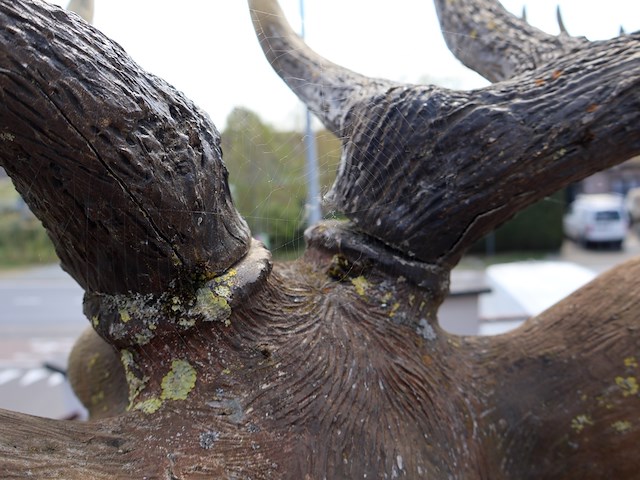 Decoratief hert - afbeelding 11 van  11