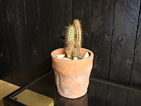 Decoratief tafeltje (x2) - afbeelding 5 van  5