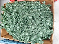 Decoratiemateriaal: guirlandes - afbeelding 2 van  2