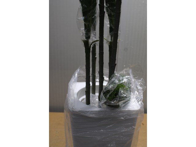 Decoratieve bamboe plant - afbeelding 2 van  3