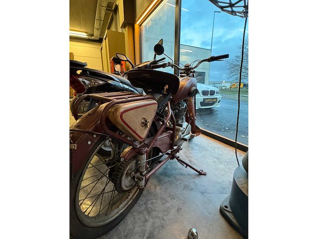 Decoratieve brommer - guiller - afbeelding 3 van  5