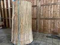 Decoratieve eiken boomstam - afbeelding 1 van  3