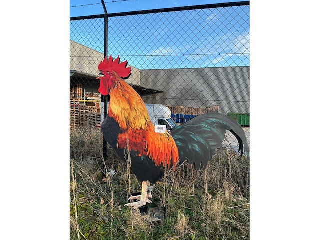 Decoratieve haan - afbeelding 2 van  3