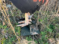 Decoratieve haan - afbeelding 3 van  3