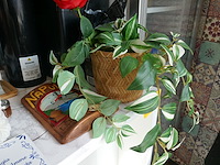 Decoratieve items - afbeelding 3 van  7