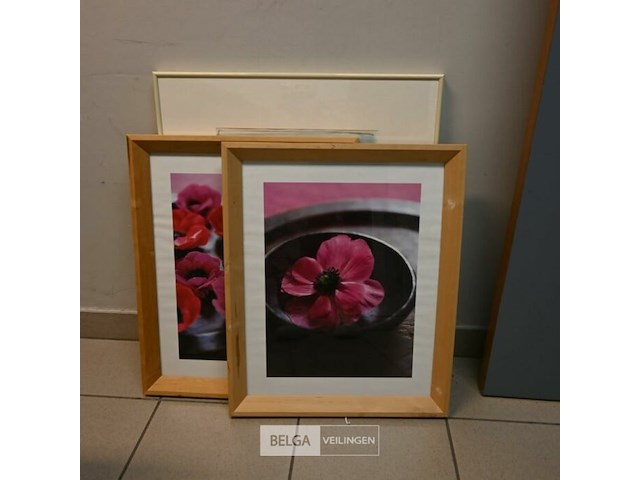 Decoratieve kaders - afbeelding 3 van  4