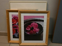 Decoratieve kaders - afbeelding 3 van  4