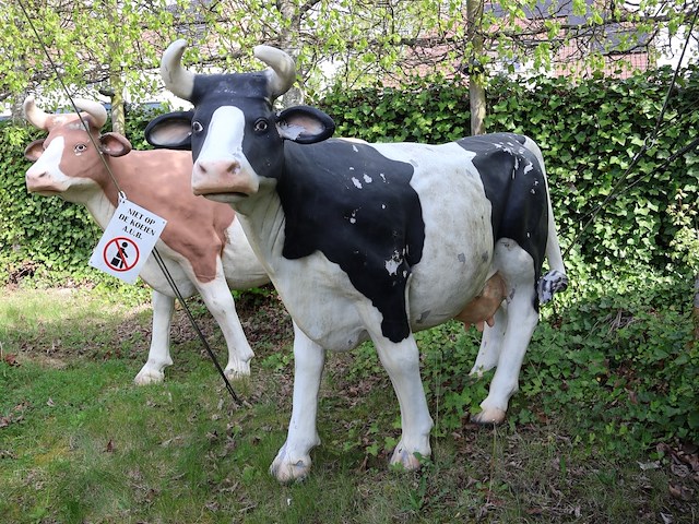 Decoratieve koe - afbeelding 1 van  8