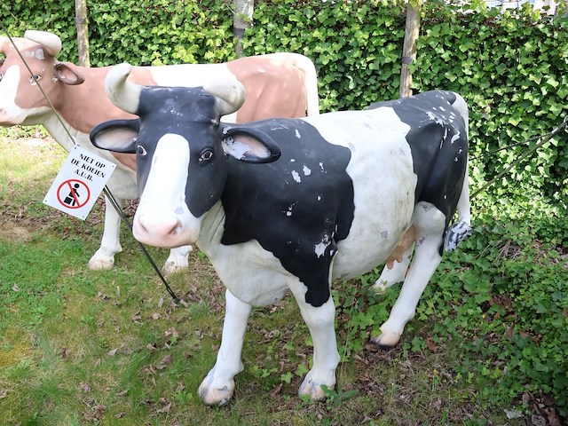 Decoratieve koe - afbeelding 2 van  8