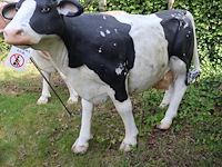 Decoratieve koe - afbeelding 4 van  8