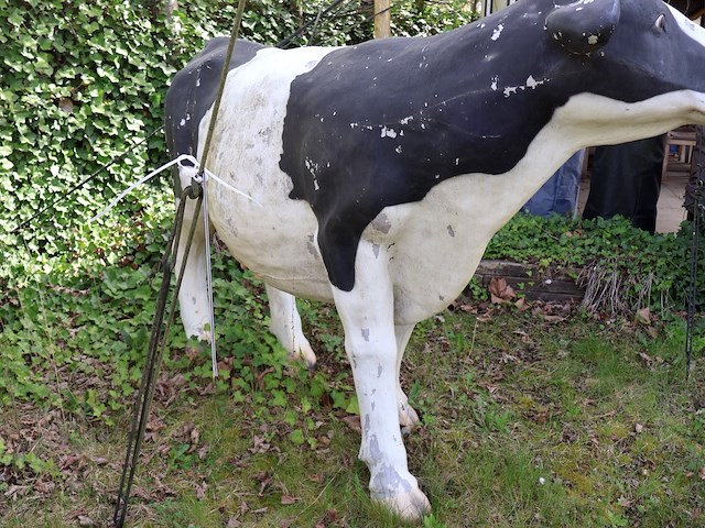 Decoratieve koe - afbeelding 5 van  8