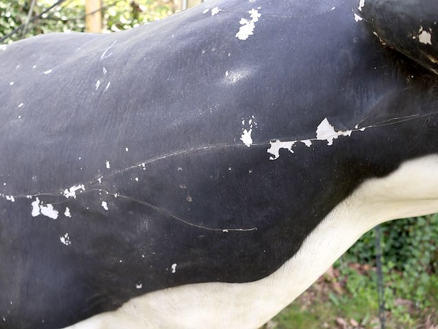 Decoratieve koe - afbeelding 7 van  8