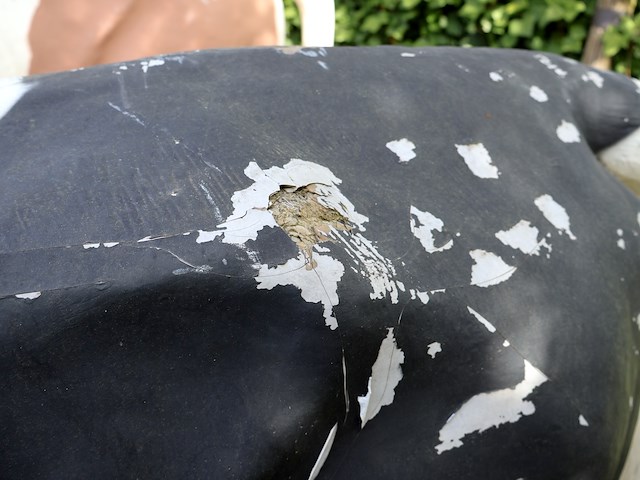 Decoratieve koe - afbeelding 8 van  8