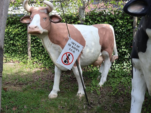 Decoratieve koe - afbeelding 1 van  8