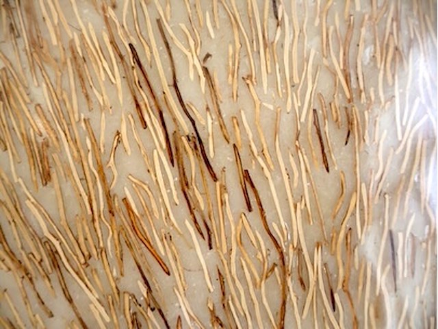 Decoratieve plafondlamp - afbeelding 4 van  5