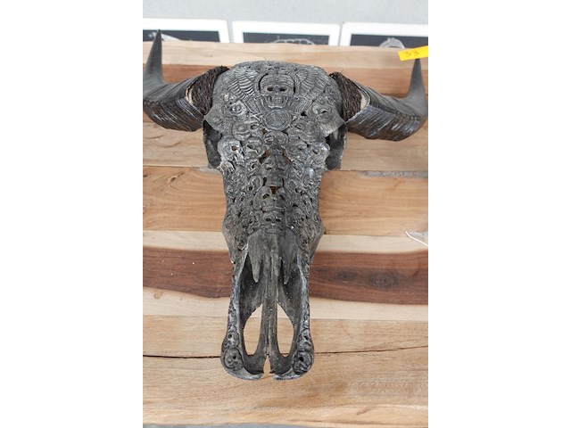 Decoratieve schedel - afbeelding 2 van  2