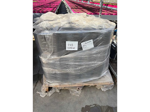 Decotainer potten 17cm pot (2640x) - afbeelding 3 van  3