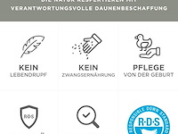 Degrees of comfort donsdekbed - afbeelding 3 van  3
