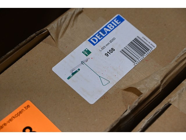 Delabie nooddouche (inbouw) - afbeelding 3 van  3