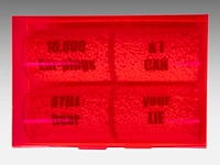Delphine de saxe-cobourg (1968), '10.000 ear-plugs and i can still hear your lie', 2007 41 x 100 x 66 cm. (16.14 x 39.36 x 25.98 in.) - afbeelding 3 van  9