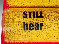 Delphine de saxe-cobourg (1968), '10.000 ear-plugs and i can still hear your lie', 2007 41 x 100 x 66 cm. (16.14 x 39.36 x 25.98 in.) - afbeelding 7 van  9