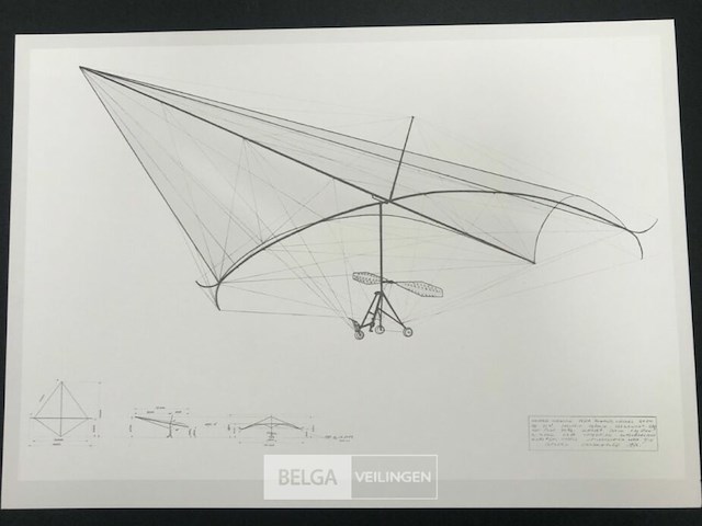 Deltavlieger rogallo - afbeelding 1 van  3