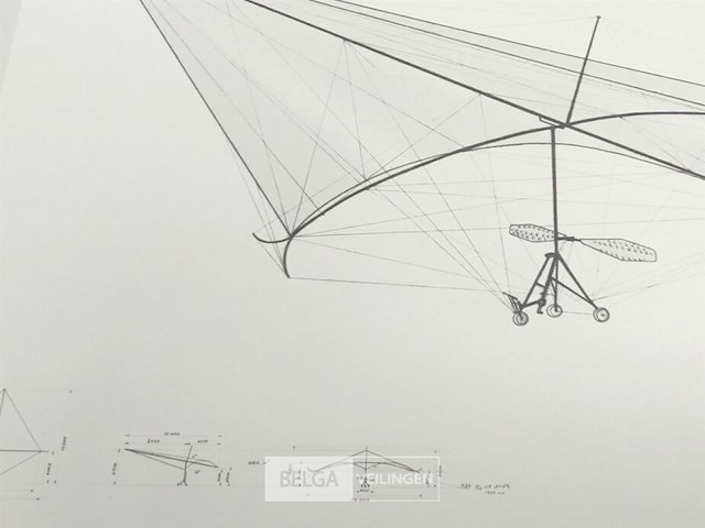 Deltavlieger rogallo - afbeelding 2 van  3