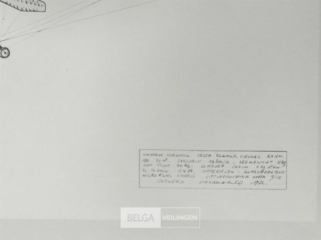 Deltavlieger rogallo - afbeelding 3 van  3