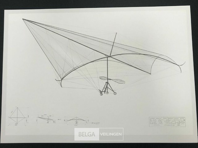 Deltavlieger rogallo - afbeelding 1 van  3