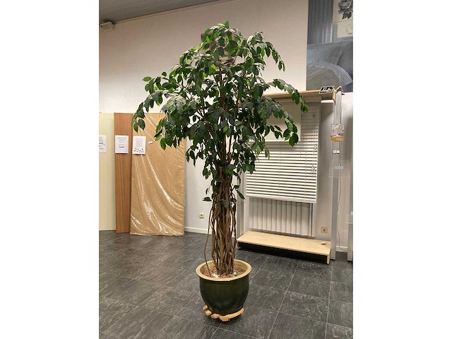 Demo modellen gordijnen, tafels, stoelen, grote plant enz - afbeelding 11 van  20