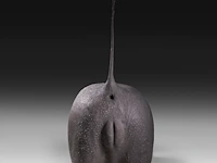 Desert warthog (phacochoerus aethiopicus) rear butt taxidermy mount, h 70 cm
