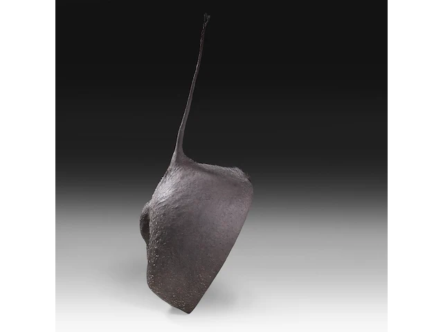 Desert warthog (phacochoerus aethiopicus) rear butt taxidermy mount, h 70 cm - afbeelding 3 van  4