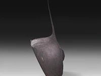 Desert warthog (phacochoerus aethiopicus) rear butt taxidermy mount, h 70 cm - afbeelding 4 van  4