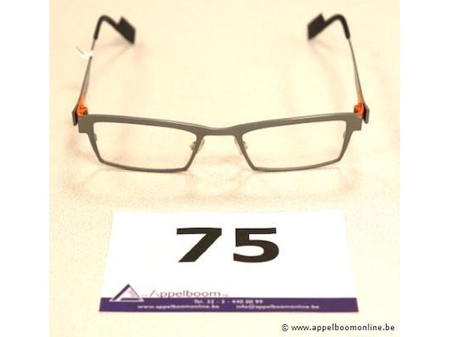 Design brilmontuur anne et valentin - afbeelding 1 van  3