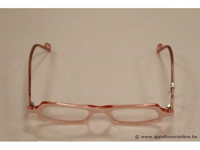 Design brilmontuur anne et valentin - afbeelding 2 van  3