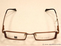 Design brilmontuur philippe geluck - afbeelding 2 van  3