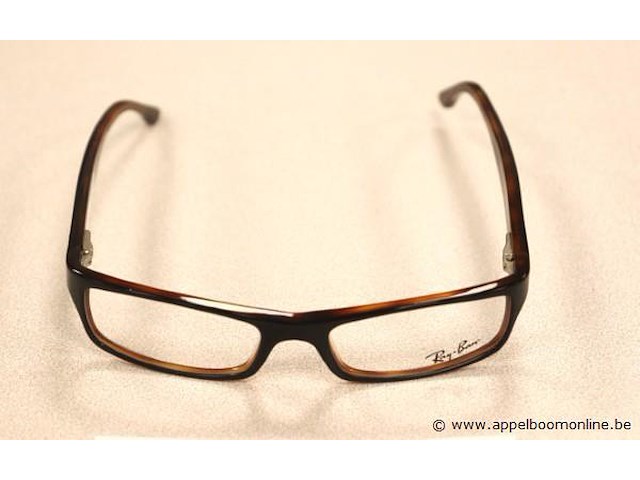 Design brilmontuur ray-ban - afbeelding 2 van  3