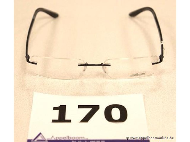 Design brilmontuur silhoutte - afbeelding 1 van  3