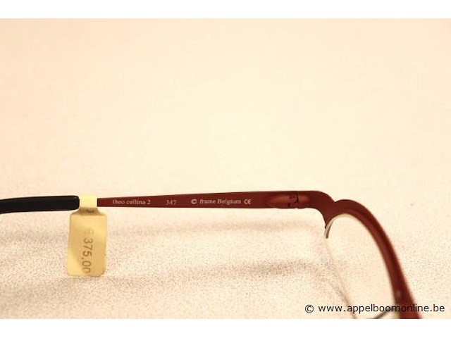 Design brilmontuur theo celline 2 - afbeelding 3 van  3